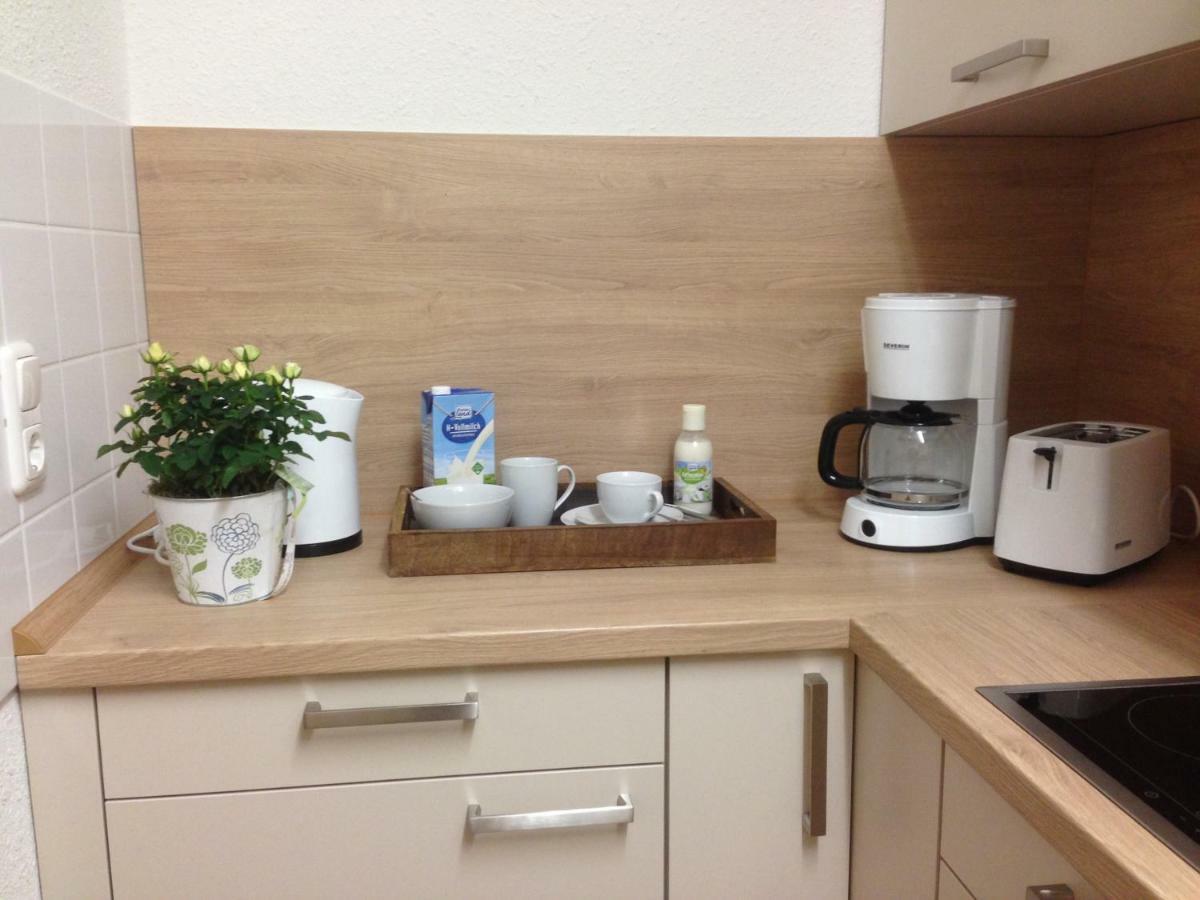 Ferienwohnung Ortrand - Pension מראה חיצוני תמונה